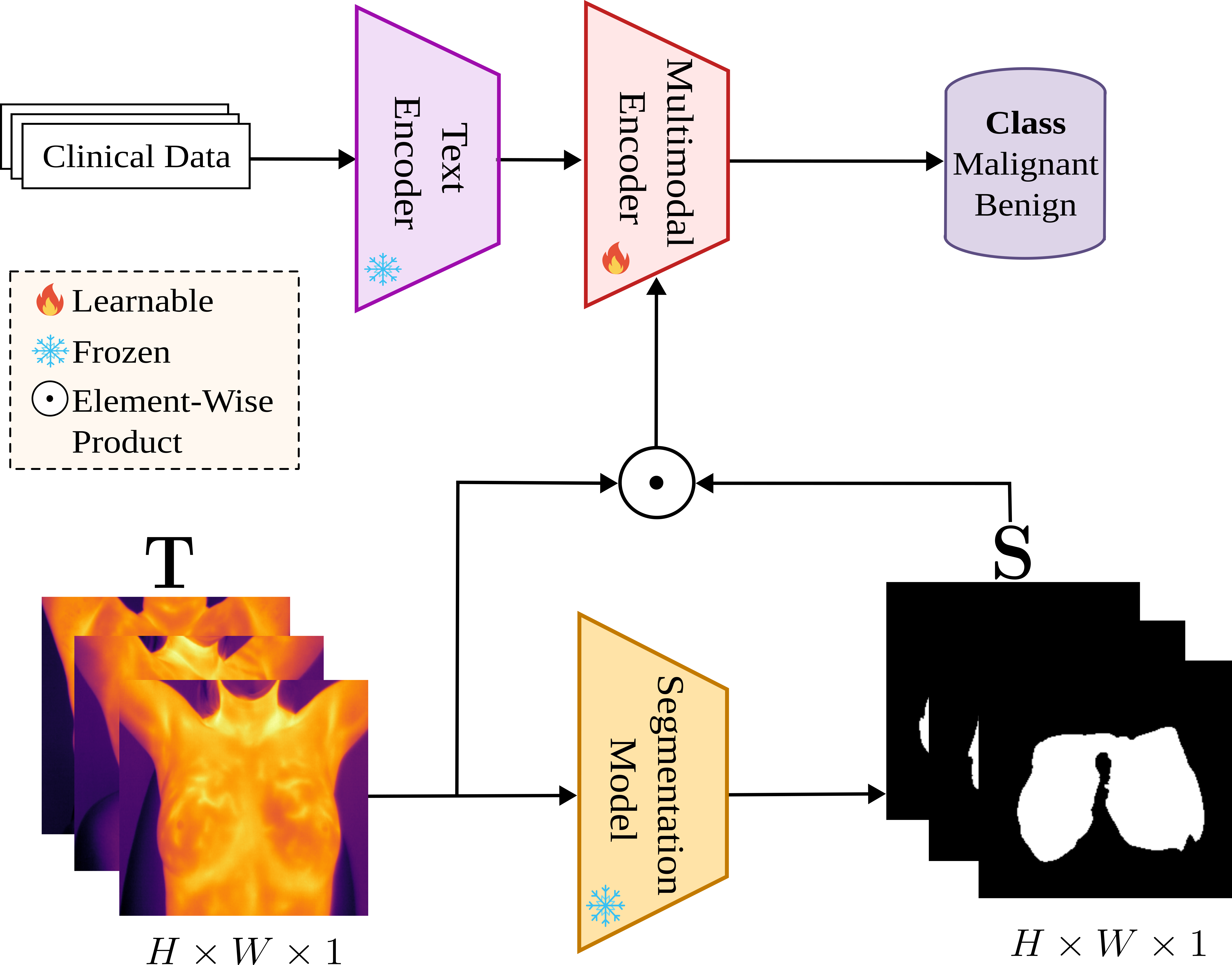 Multimodal Vision-Language Transformer for Thermography Breast Cancer Classification